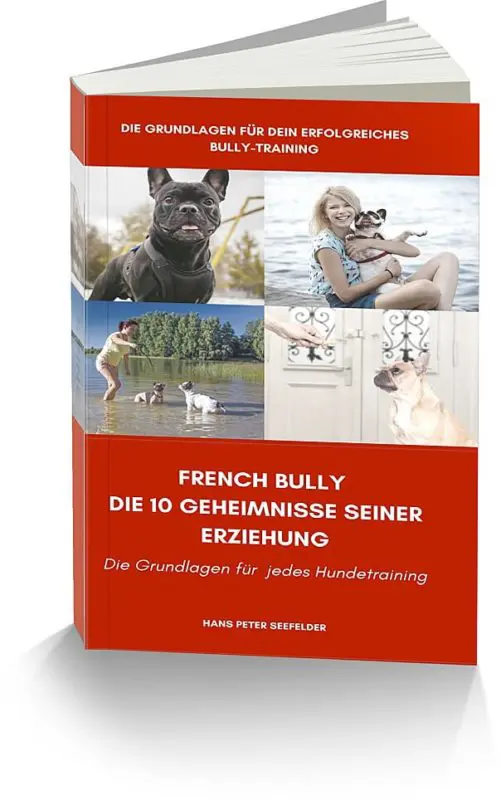 E-Book French Bully - Die 10 Geheimnisse der Bully Erziehung