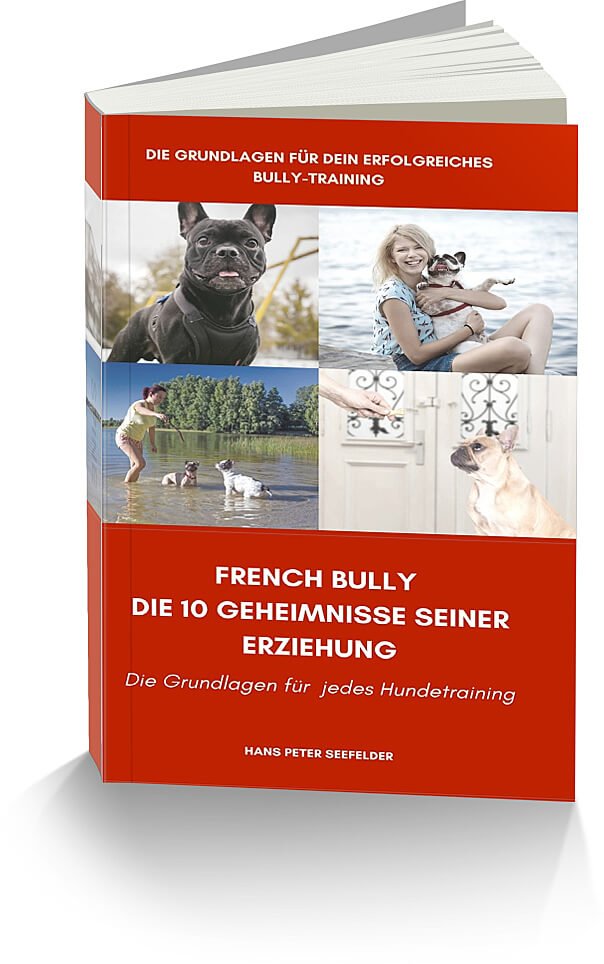 ᐅ Wie du eine französische Bulldogge erziehst. Kostenfreies EBook