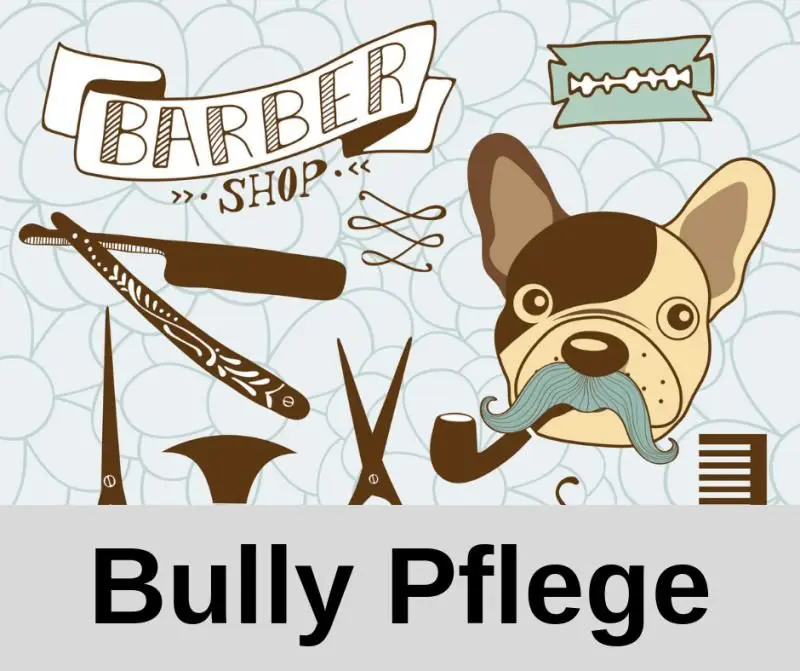 Bully Pflege