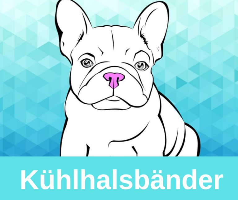 ᐅ Die besten Kühlhalsbänder für französische Bulldoggen 2019