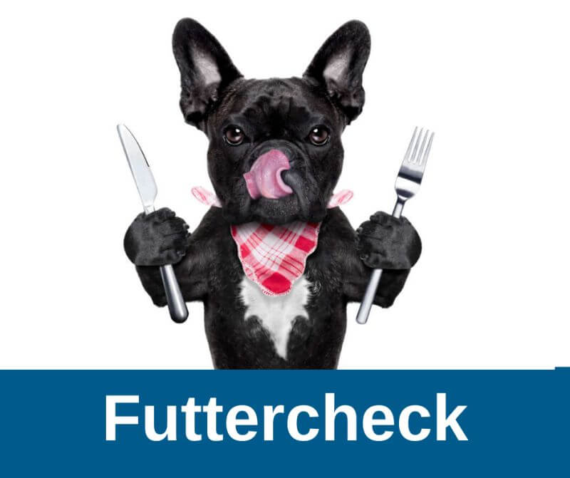 Futtercheck › Französische Bulldoggen Blog - Futtercheck